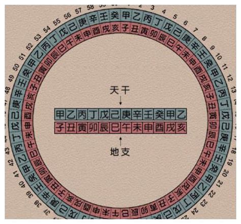 1997年是什么年|按天干地支的纪年法，1997年应是什么年